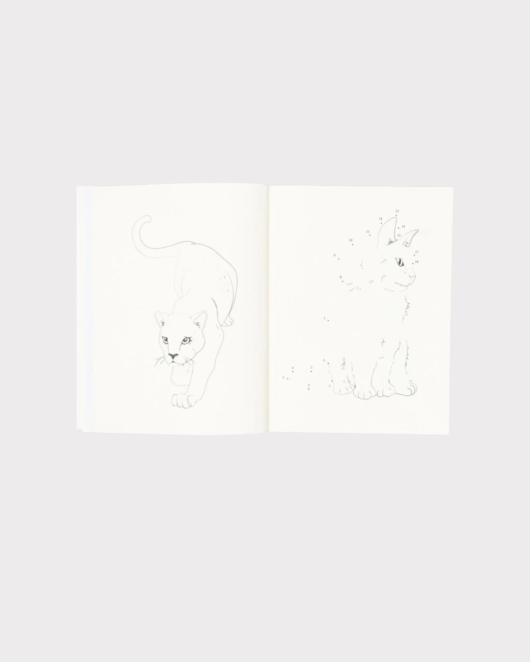 Activity Book With Colouring Pencils-Tilbehør-Konges Sløjd-Aandahls