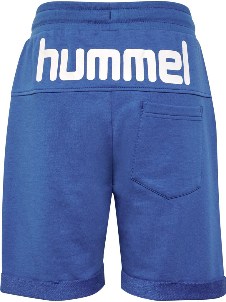 HmlFalk shorts-Shorts-Hummel-Aandahls