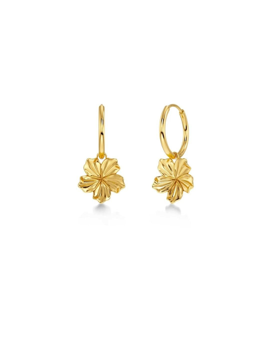 Jasmine Hoops-Smykke-Edblad-Aandahls