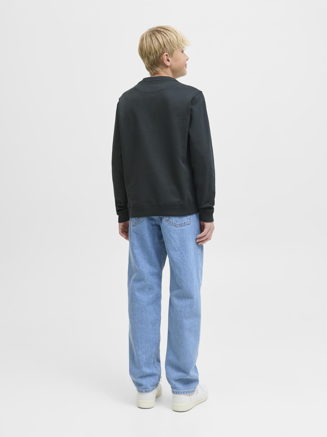 Jornorrebro Emb Sweat Crew Noos Jnr-Genser-JACK&JONES JUNIOR-Aandahls