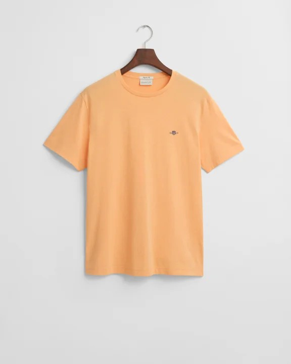 Klassisk T-Skjorte I Regular-Fit-T-shirt-Gant-Aandahls