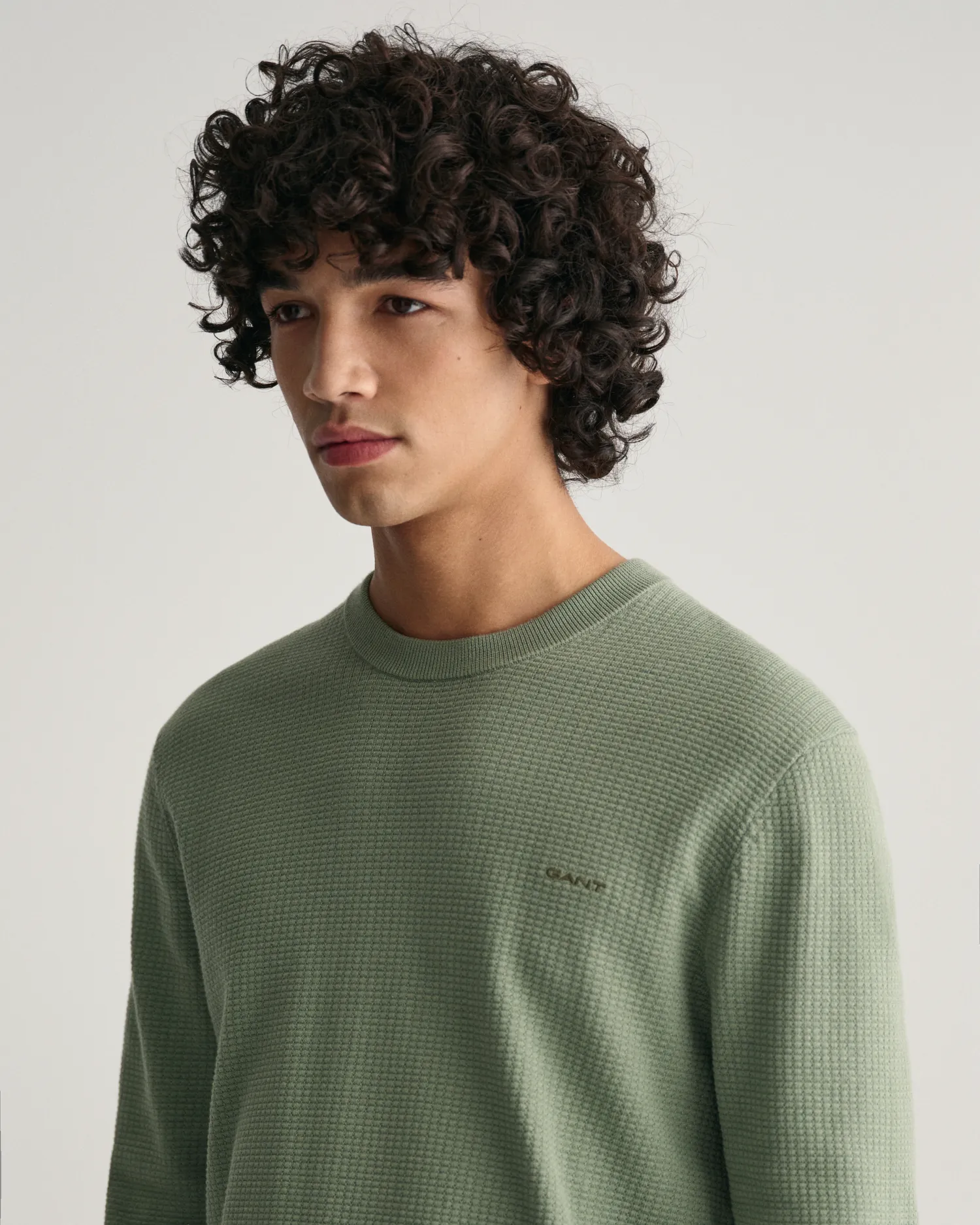 TEXTURED COTTON C-NECK-Strikk-Gant-Aandahls