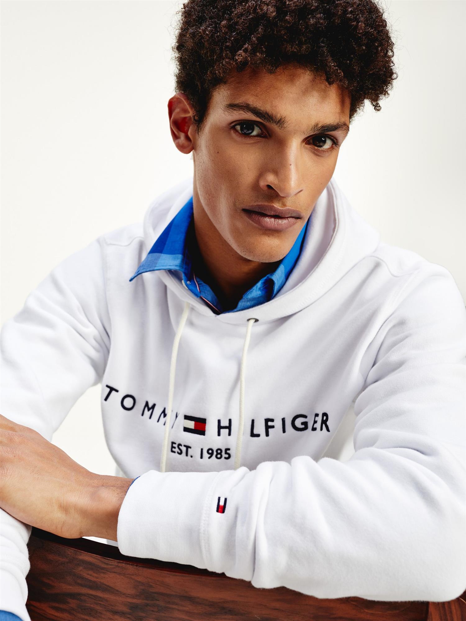 Tommy logo hoody-Genser-Tommy Hilfiger-Aandahls