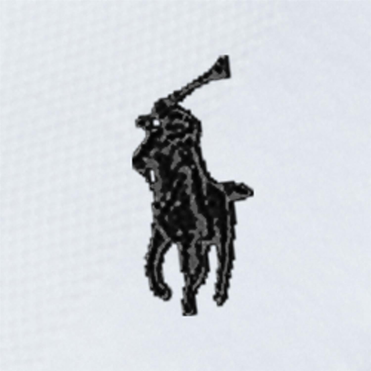 3 pk sock-Strømper-Polo Ralph Lauren-Aandahls