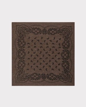 Adelina Paisley Knit Scarf