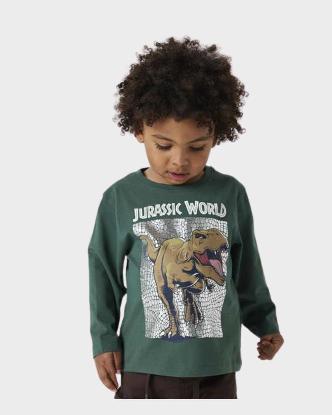 Jewel Jurassic Nreg Ls Top Noos Sky-Genser-Name it-Aandahls