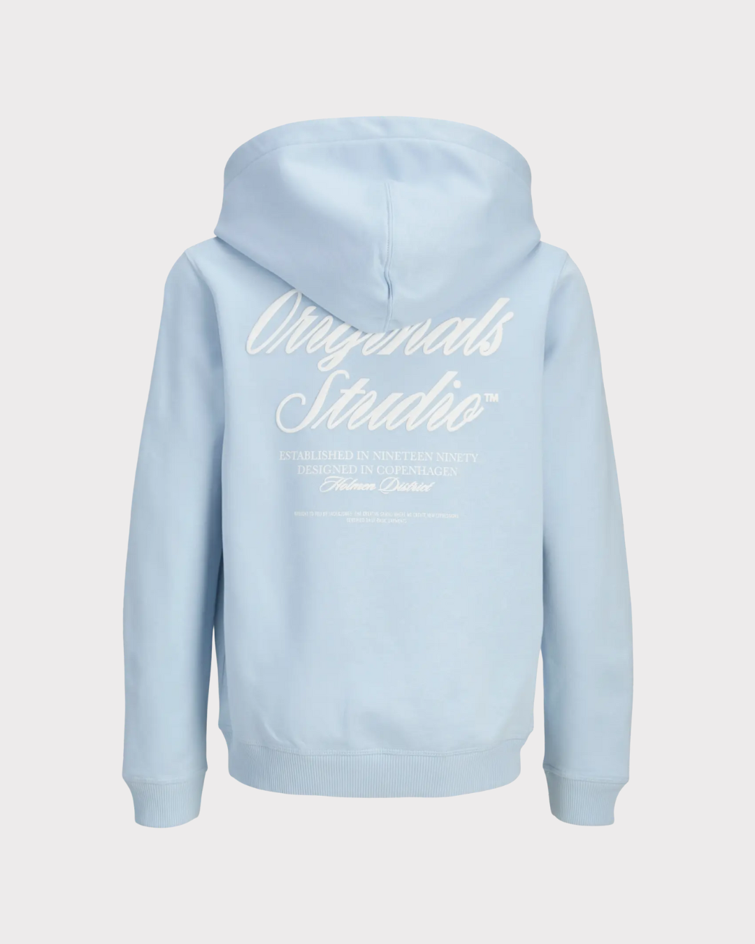 Jornorrebro Typo Sweat Hood-Genser-JACK&JONES JUNIOR-Aandahls