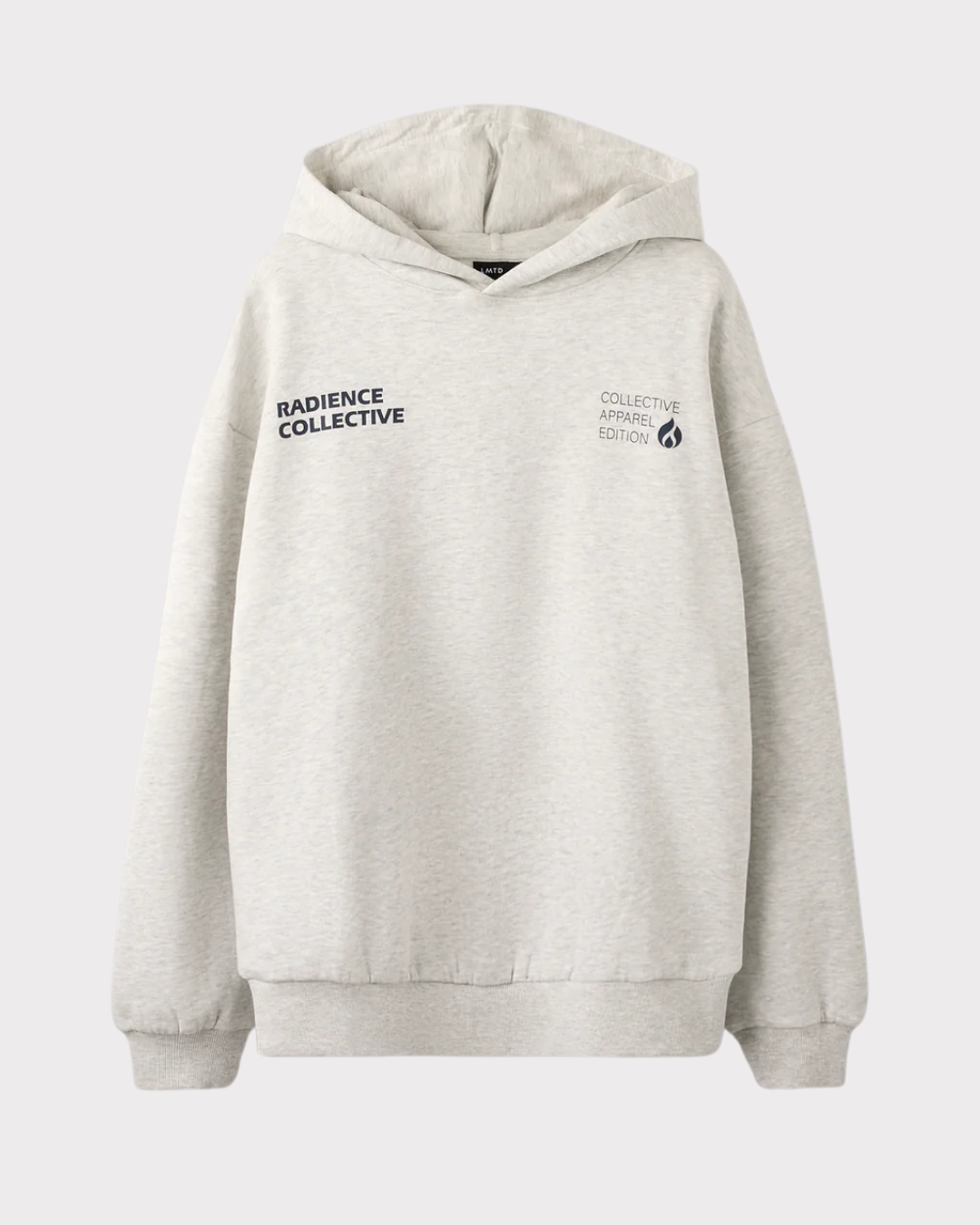 Nlnrene Ls Loose Sweat W. Hood-Genser-Lmtd-Aandahls