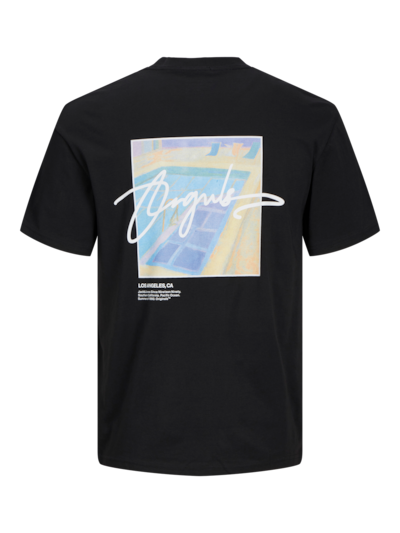 Raruba landscape tee-T-shirt-Jack & Jones-Aandahls