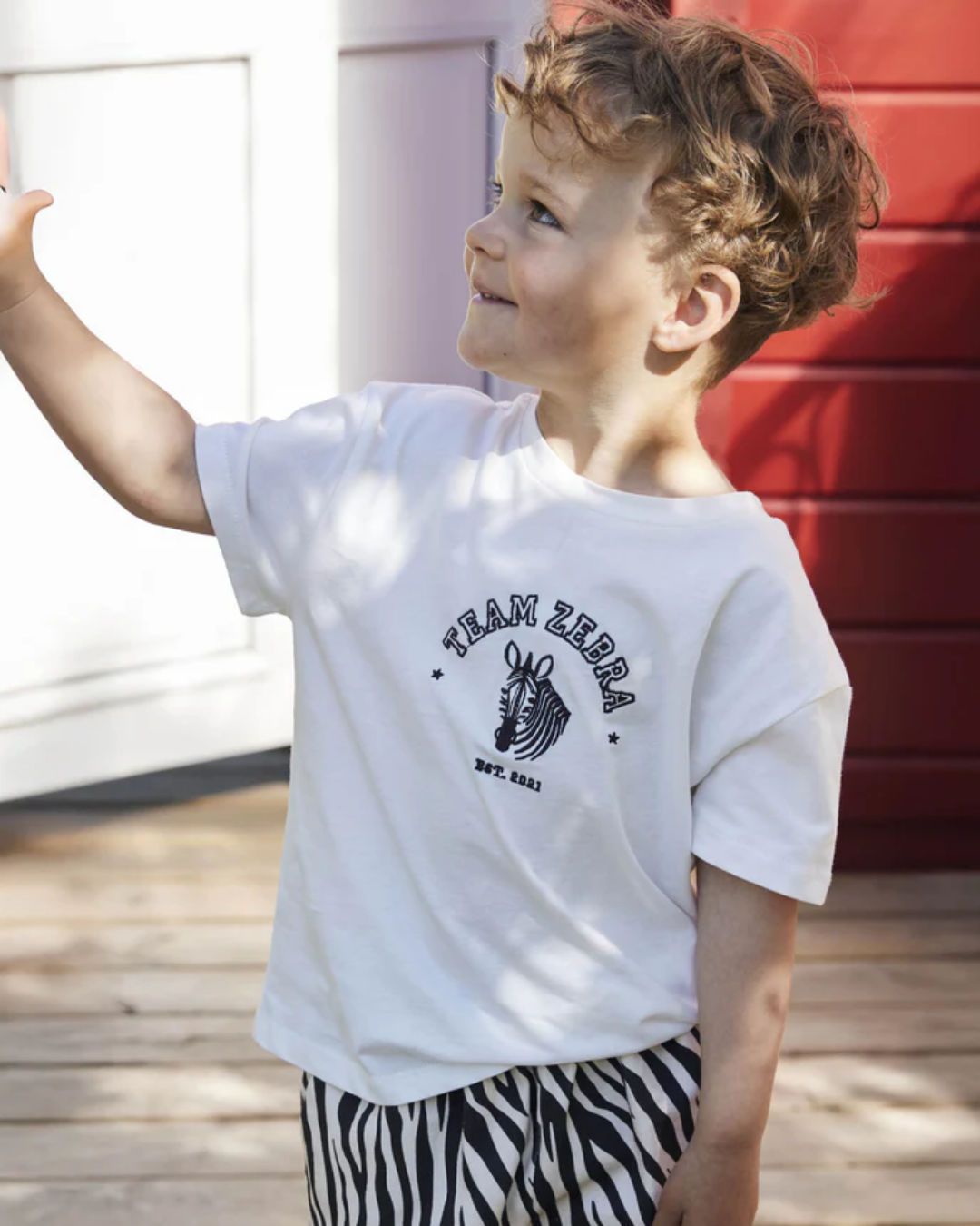 Sommer Zebra T-shirt-T-shirt-Fliink-Aandahls