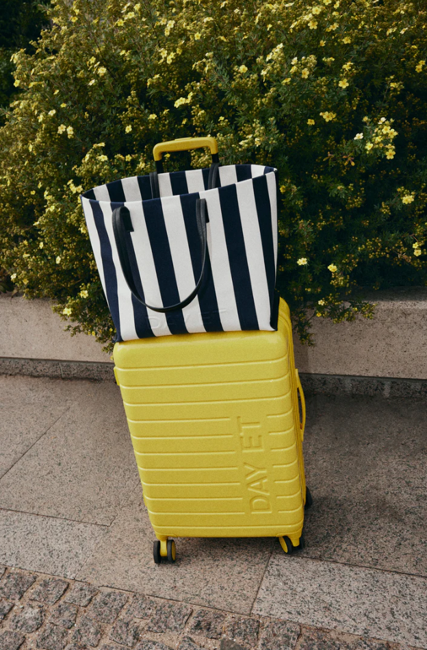 Travel Stripe Bag