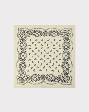 Adelina Paisley Knit Scarf
