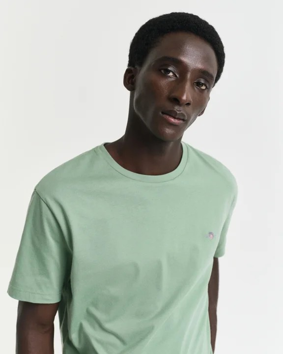Klassisk T-Skjorte I Regular-Fit-T-shirt-Gant-Aandahls