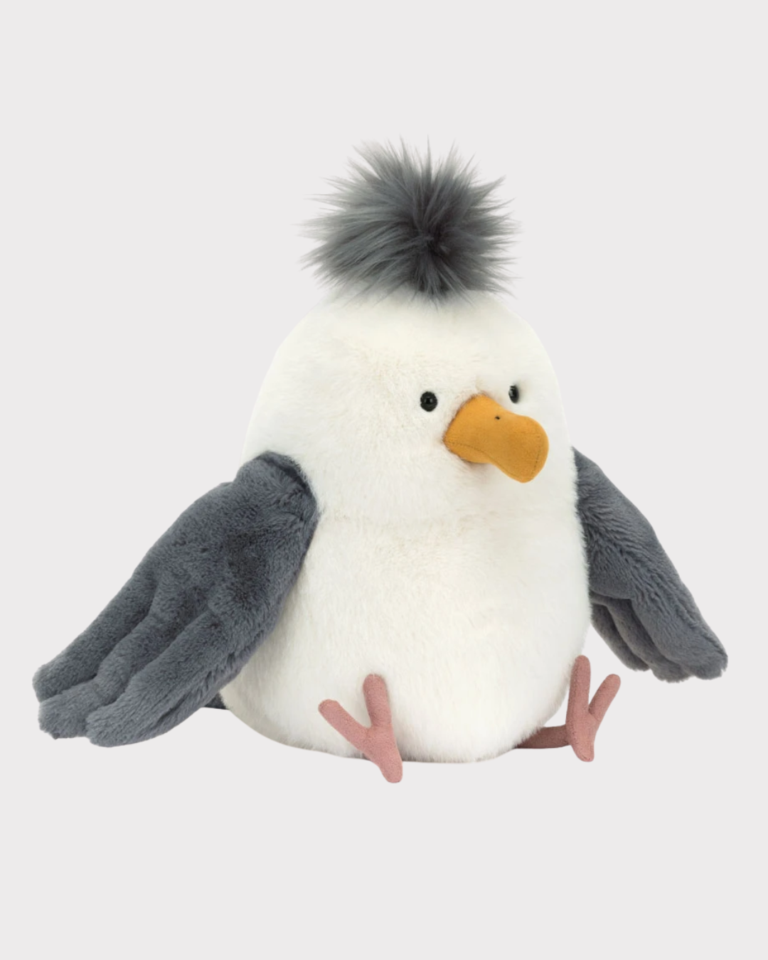 Chip Seagull