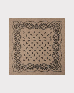 Adelina Paisley Knit Scarf
