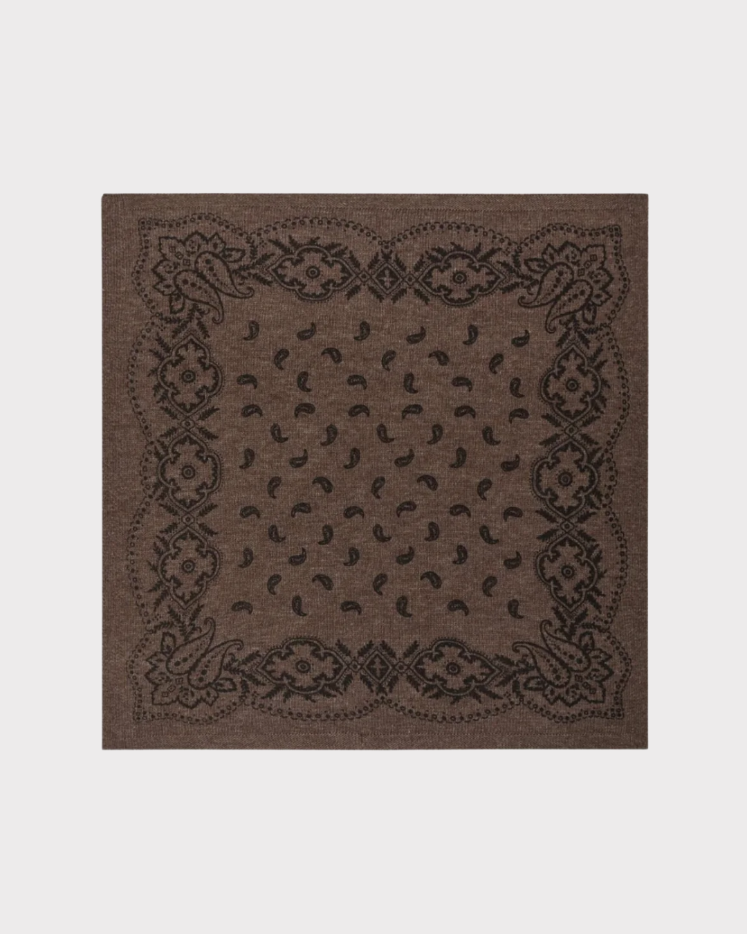 Adelina Paisley Knit Scarf