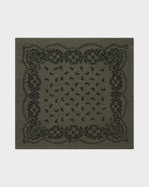 Adelina Paisley Knit Scarf