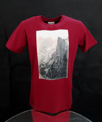 Birkeland T-shirt-T-shirts-Trude Nistad-Aandahls
